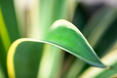 《荊棘：群山之王》登陆全平台发售 北欧传说黑暗世界冒险